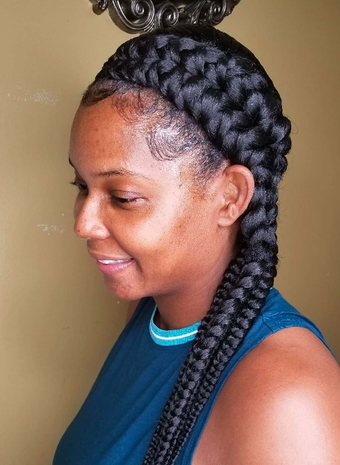 Defined Mid-Back Black Dutch Braids Defined Mid-Back Black Dutch Braids — Braids to the Back Ideas