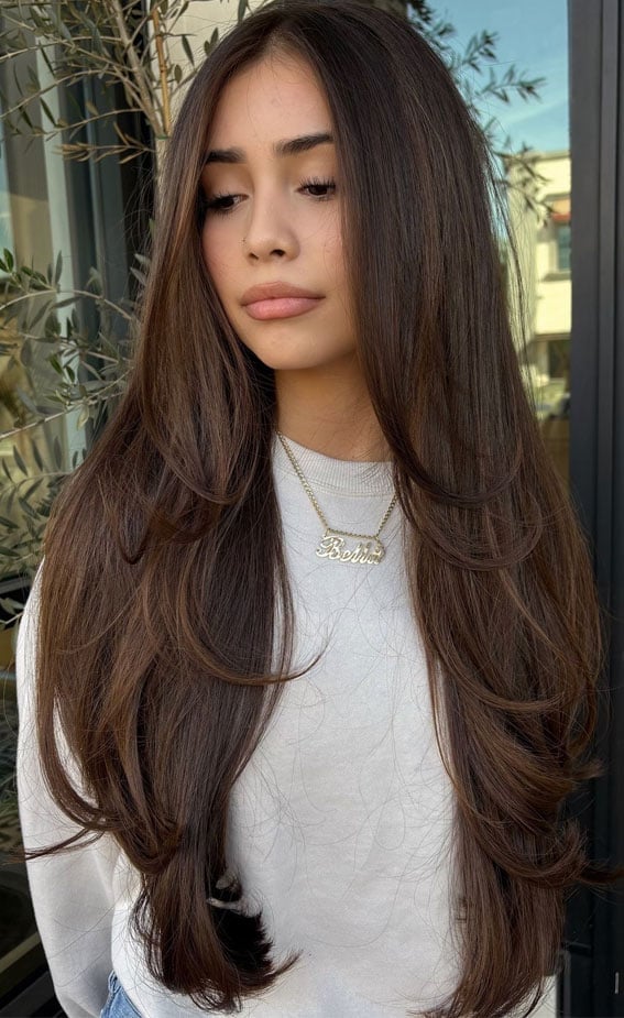 Long Espresso Brown With Voluminous Blowout — Brunette Hair Inspiration