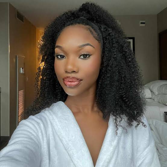 High Half Ponytail With Baby Hairs — Classy 4b Hairstyles