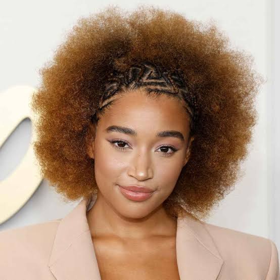 Shoulder Length Afro With Braided Detail — Classy 4b Hairstyles