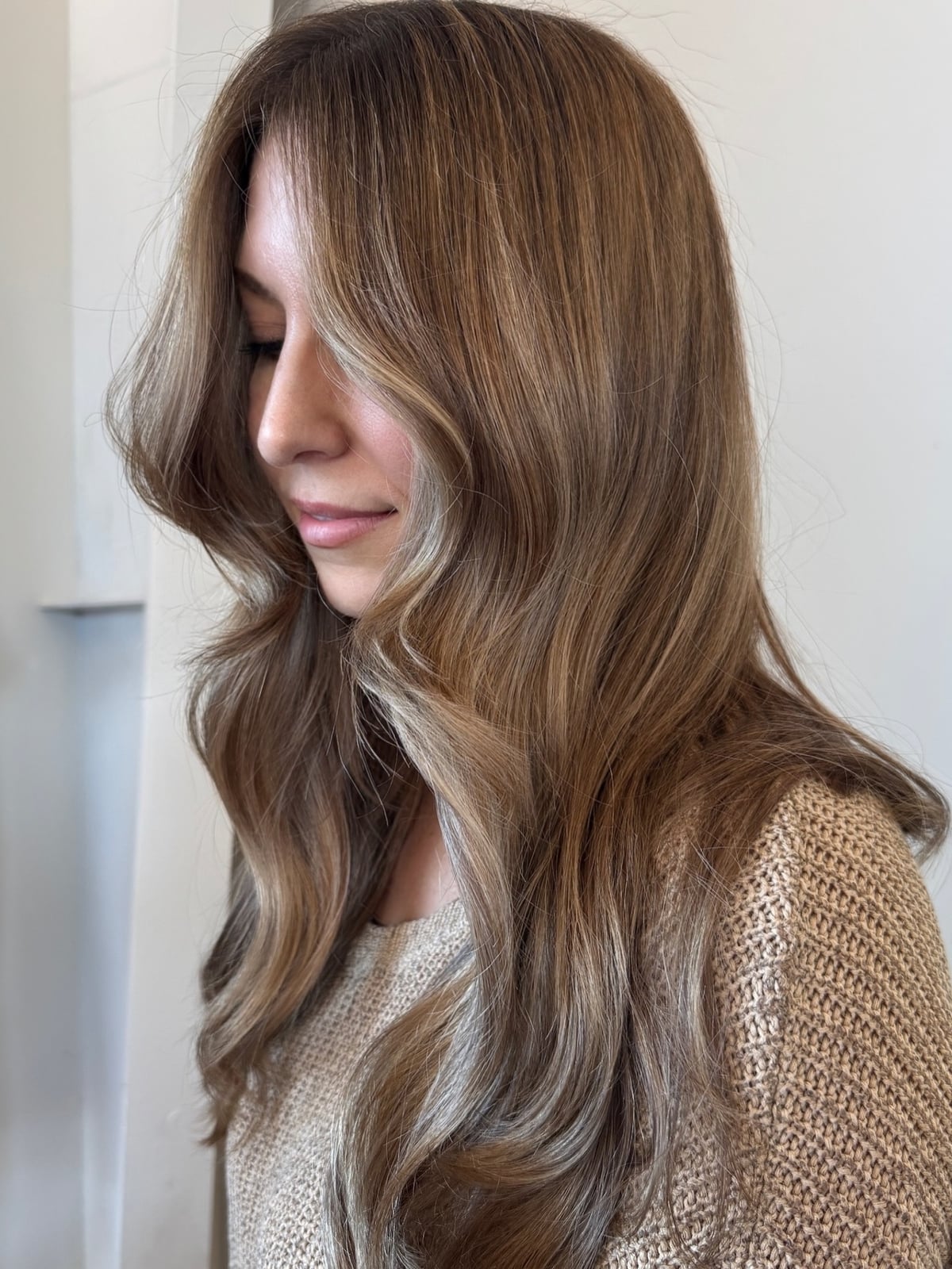 Shoulder Length Blowout With Subtle Highlights Shoulder Length Blowout With Subtle Highlights — Classy Beige Highlights
