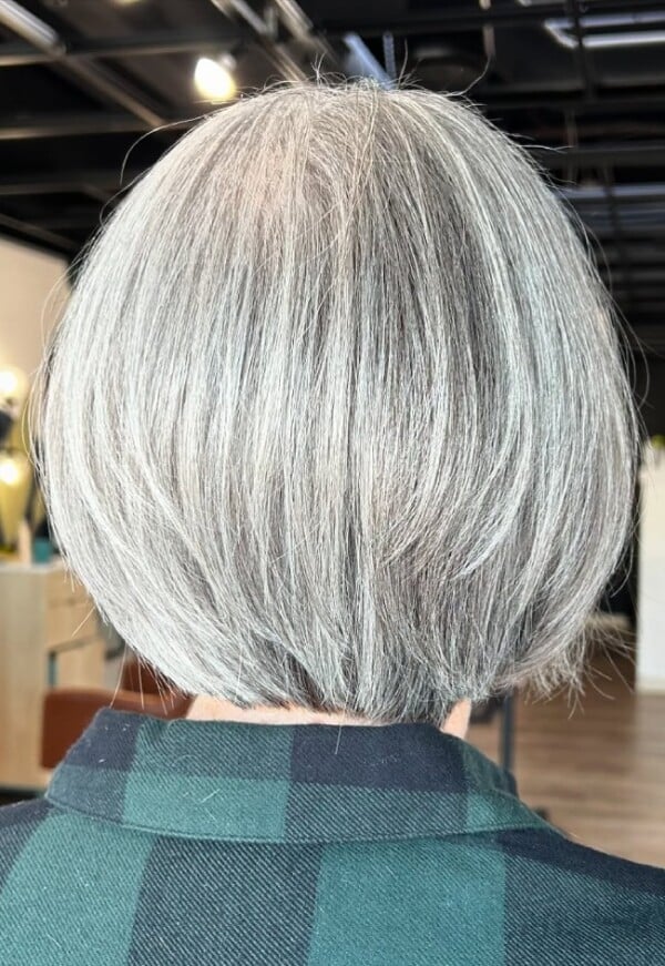 Gray Layered Bob Chin Length Back View Gray Layered Bob Chin Length Back View — Classy Bob Haircuts for Fine Hair