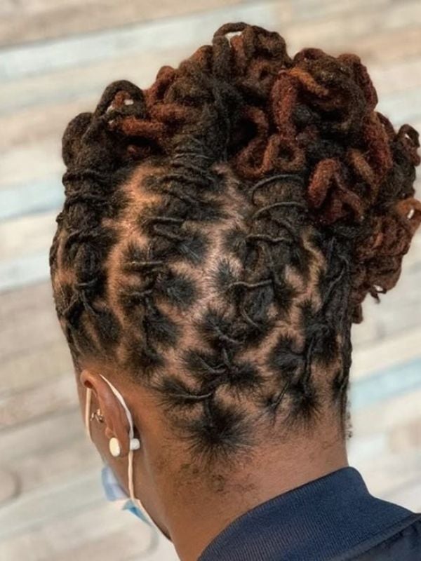 Mid-Back Dark Brown Locs Updo With Auburn Undertones — Classy Braids Locs