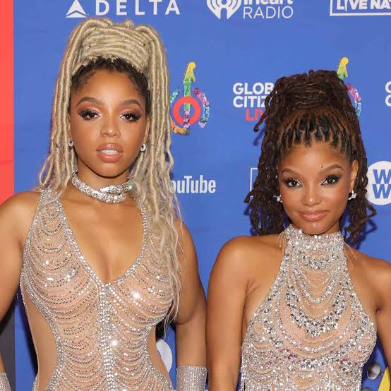 Mid-Back Blonde and Dark Brown Braided Locs High Ponytails — Classy Braids Locs