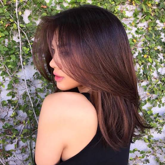 Collarbone Dark Brown With Caramel Highlights Collarbone Dark Brown With Caramel Highlights — Classy Brunette Hair Colors