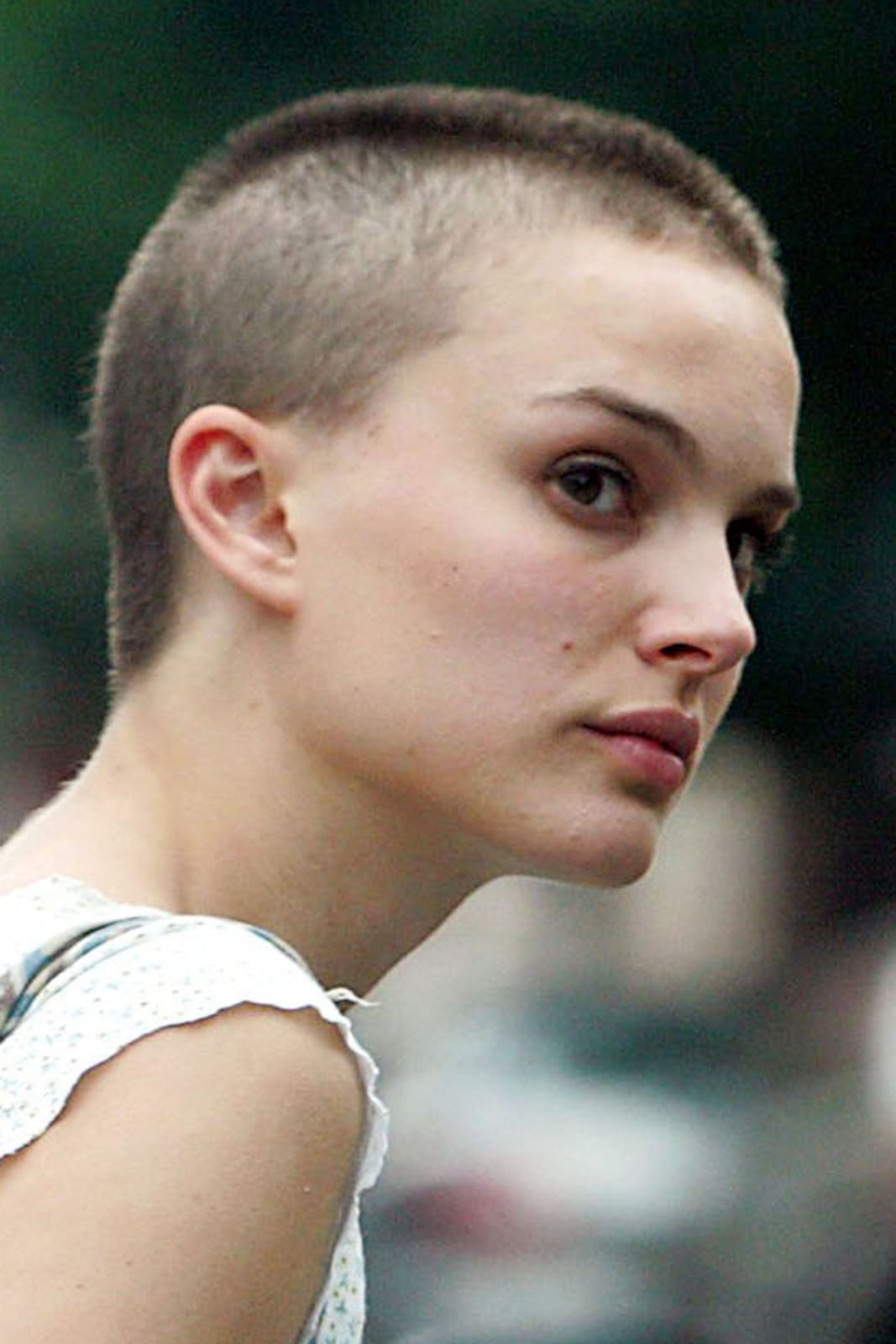 Short Brown Buzz Cut With Patterned Top Short Brown Buzz Cut With Patterned Top — Classy Buzz Cut