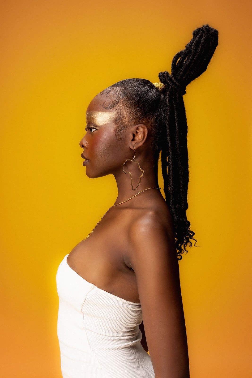 Dark Brown Locs High Ponytail Dark Brown Locs High Ponytail — Classy Color Locs