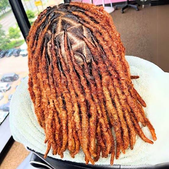 Reddish-Brown Retwisted Mid-Back Locs Reddish-Brown Retwisted Mid-Back Locs — Classy Color Locs