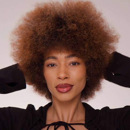 Thick Coily Shoulder Length Natural — Classy Copper Hair on Black Women