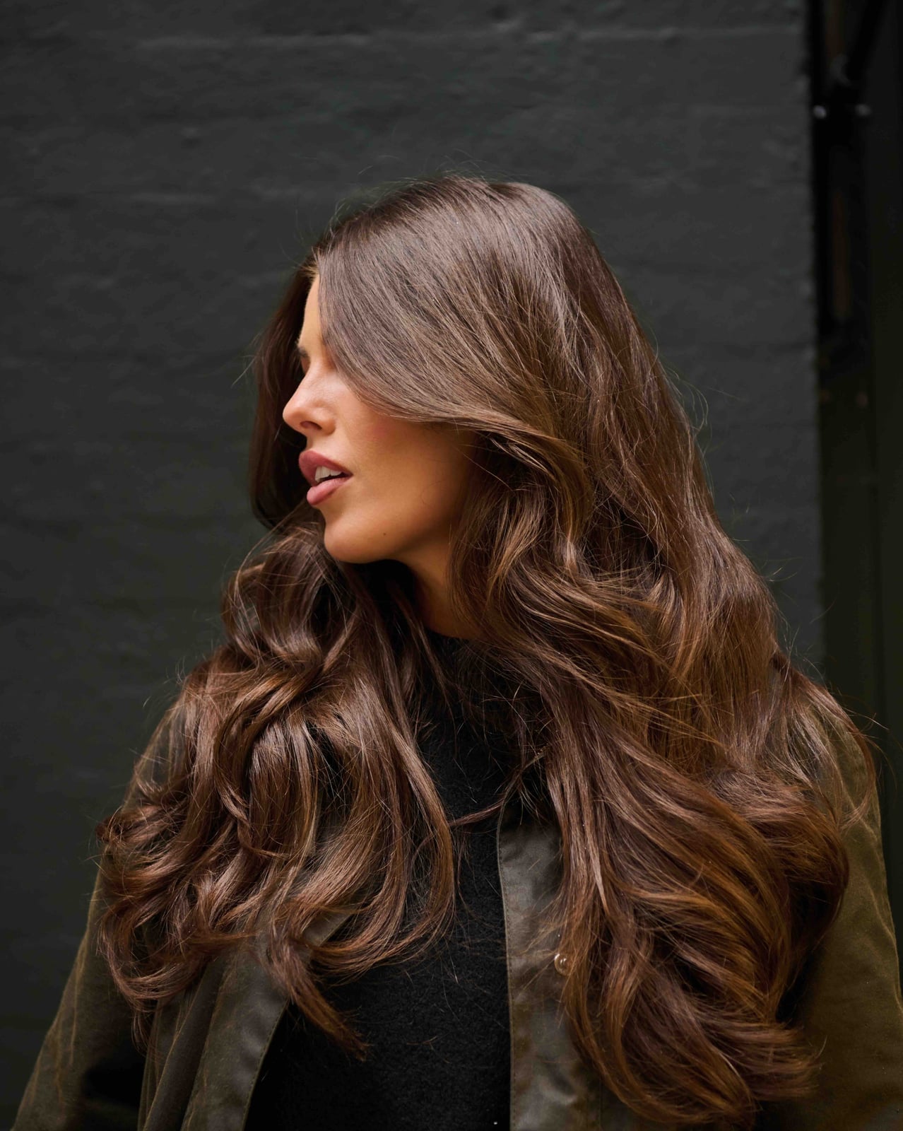 Mid-Back Dark Brown With Lighter Brown Highlights, Everyday Version Mid-Back Dark Brown With Lighter Brown Highlights, Everyday Version — Classy Dark Brown Highlights