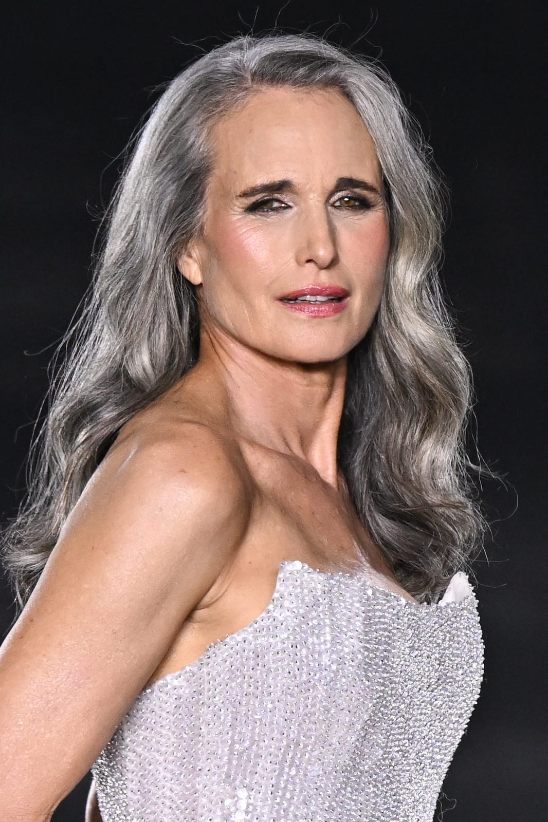Silver Gray Base With Lighter Gray Highlights, Shoulder Silver Gray Base With Lighter Gray Highlights, Shoulder — Classy Grey Blending Highlights