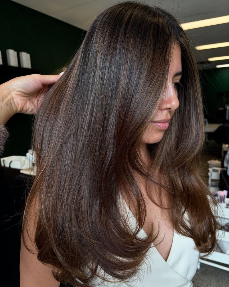 Mid-Back Dark Brown With Blonde Highlights Back View Mid-Back Dark Brown With Blonde Highlights Back View — Classy Highlights on Dark Brown