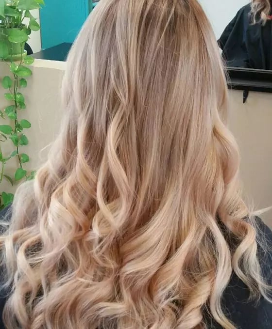Mid-Back Dark Base With Honey Blonde Highlights — Classy Honey Blonde Highlights
