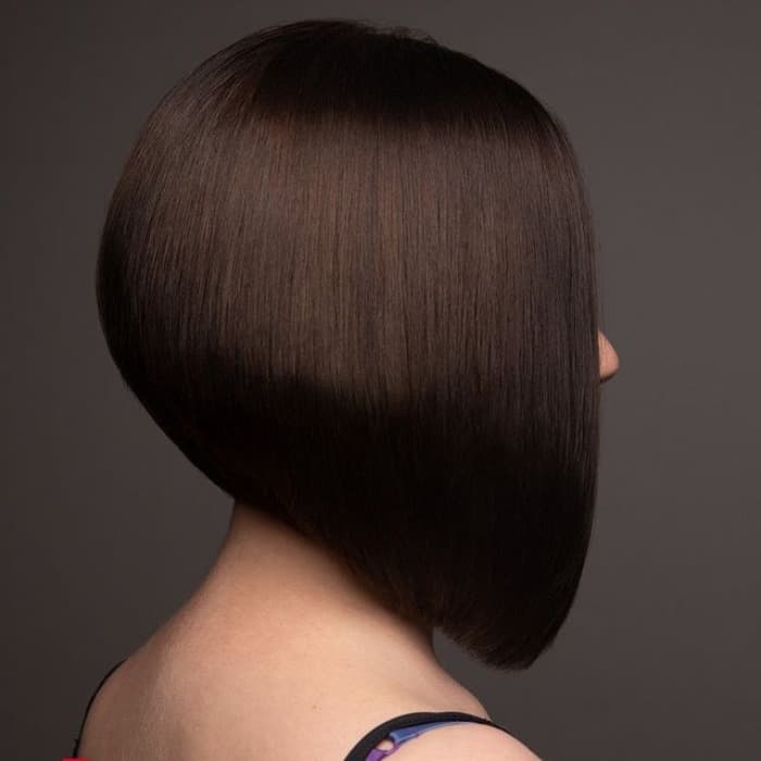 Thick Straight Dark Brown Inverted Bob Thick Straight Dark Brown Inverted Bob — Classy Inverted Bob