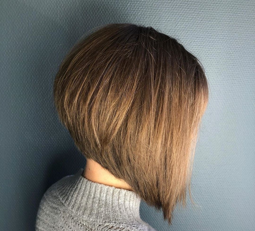 Medium Brown Collarbone Inverted Bob Medium Brown Collarbone Inverted Bob — Classy Inverted Bob
