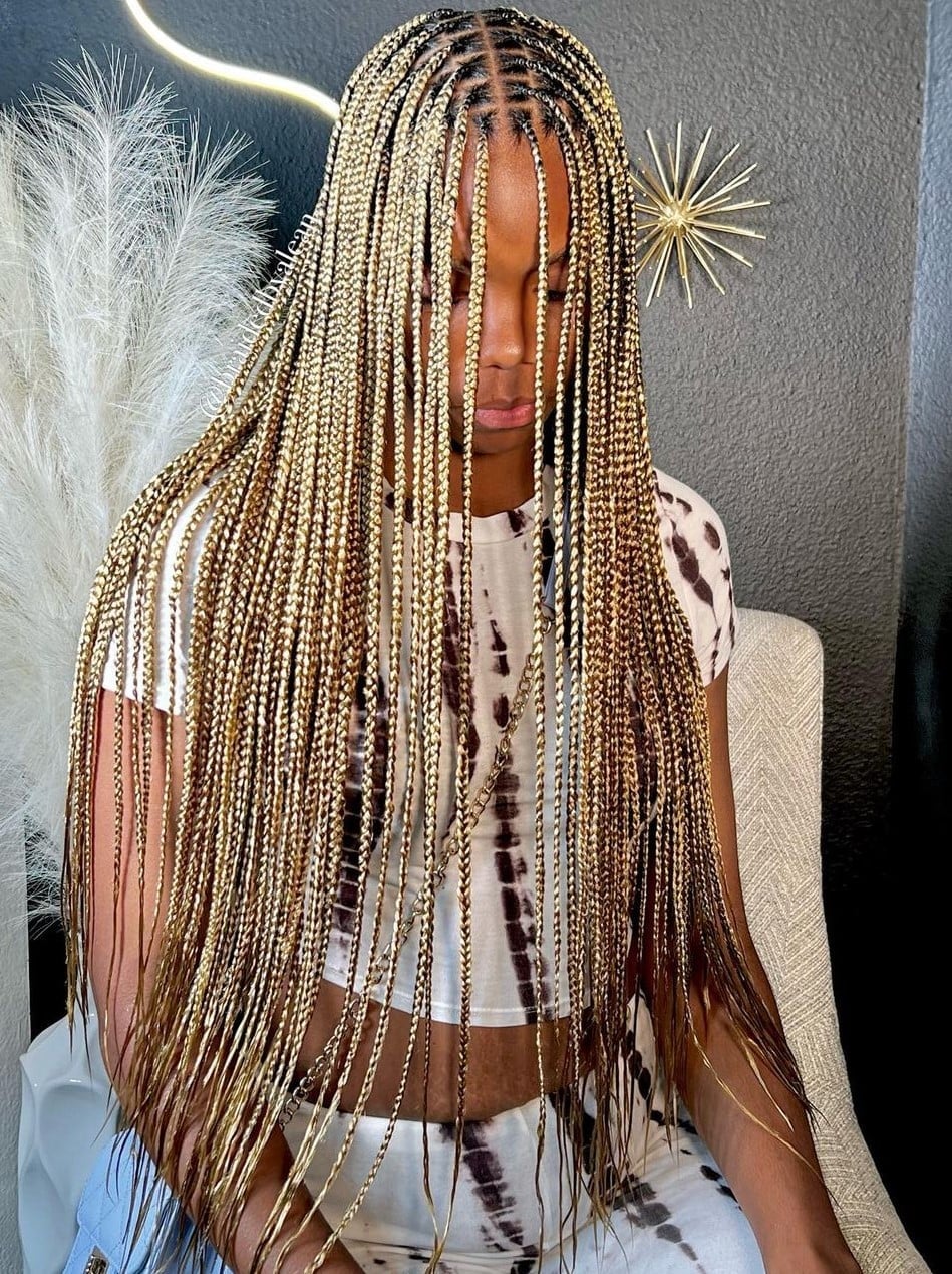 Mid-Back Knotless Braids With Blonde Highlights Mid-Back Knotless Braids With Blonde Highlights — Classy Knotless Hairstyles
