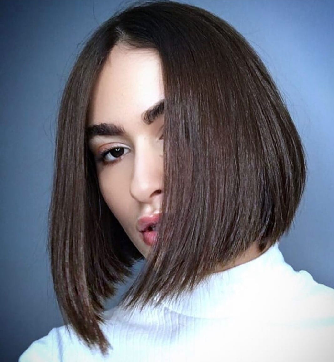 Neck Length Blunt Bob Neck Length Blunt Bob — Classy Lengths Haircut