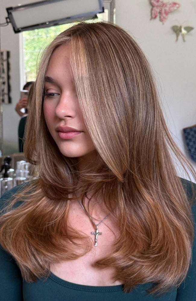 Collarbone Length Blowout With Face-Framing Layers Collarbone Length Blowout With Face-Framing Layers — Classy Light Brown Hair with Blonde