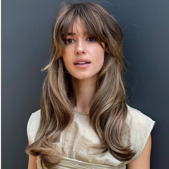 Long Shag With Caramel Highlights Ombré Long Shag With Caramel Highlights Ombré — Classy Ombré Hair