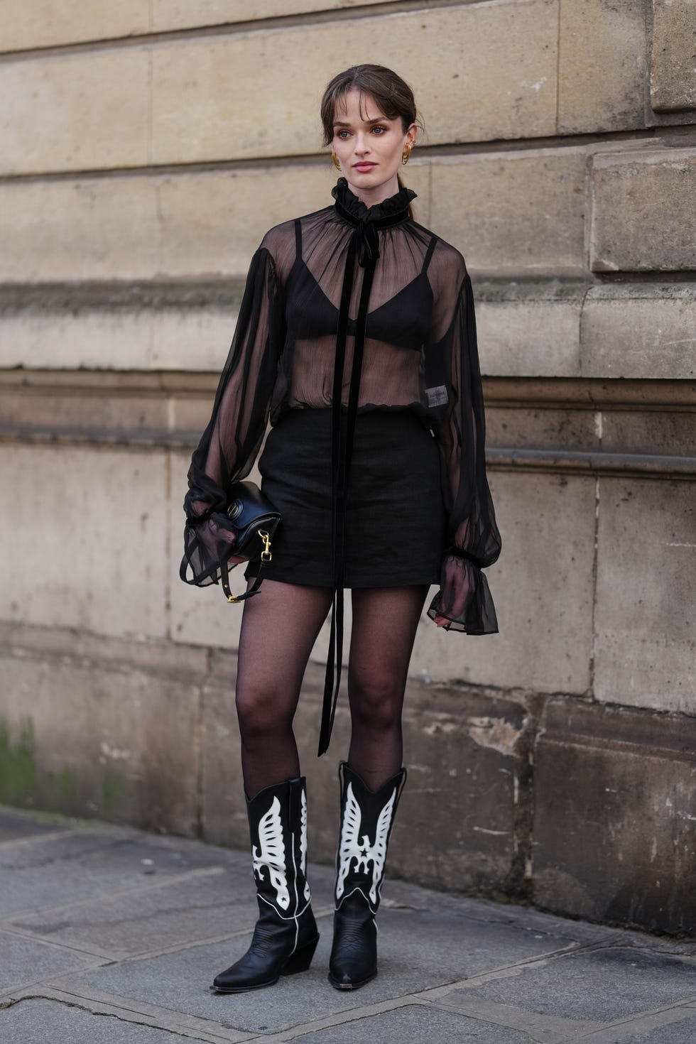 Sheer Blouse and Mini Skirt with Cowboy Boots Sheer Blouse and Mini Skirt with Cowboy Boots — Classy Outfits with Tights