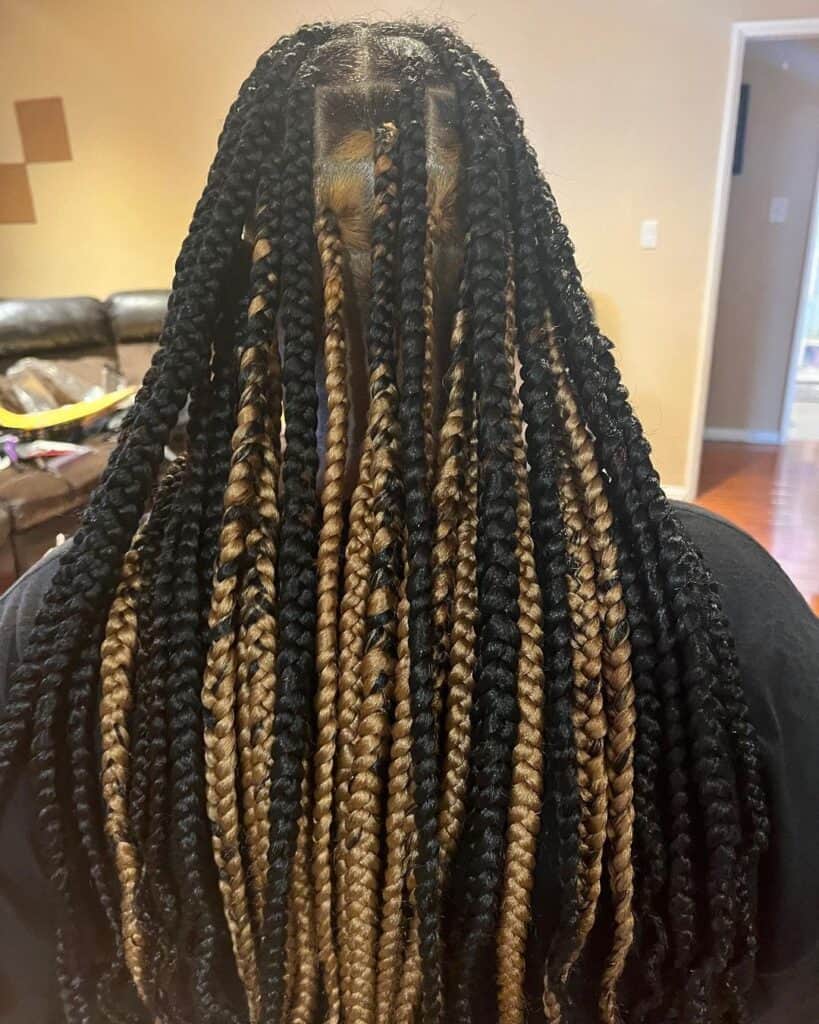 Mid-Back Black and Blonde Box Braids, Straight — Classy Peekaboo Braids