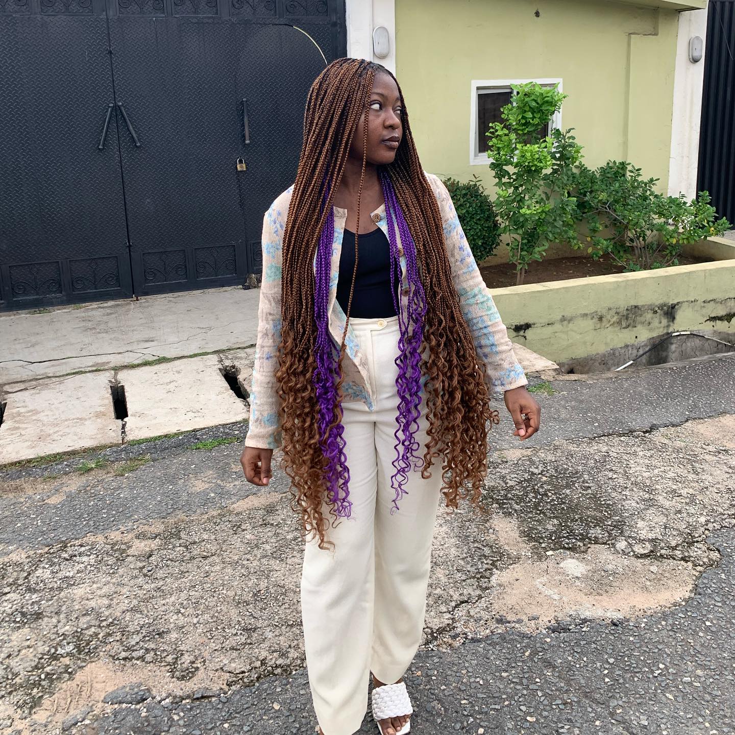 Very Long Box Braids With Purple Accents and Curly Ends — Classy Peekaboo Braids