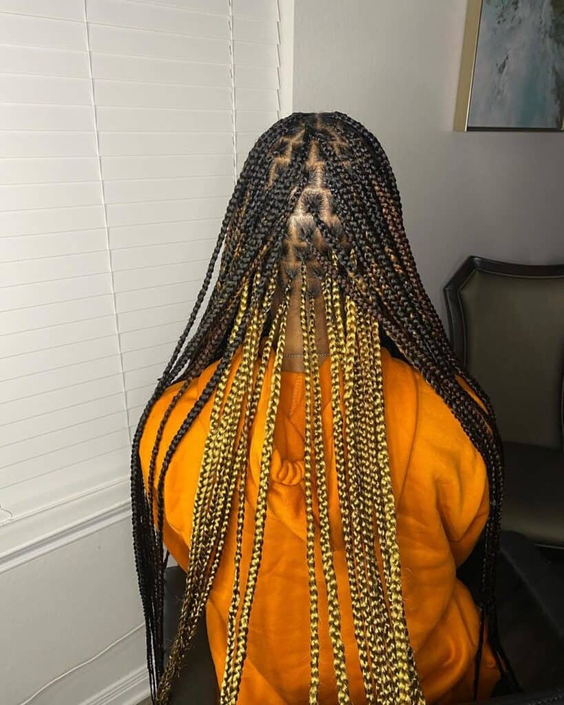 Mid-Back Black and Yellow Box Braids With Curly Ends — Classy Peekaboo Braids