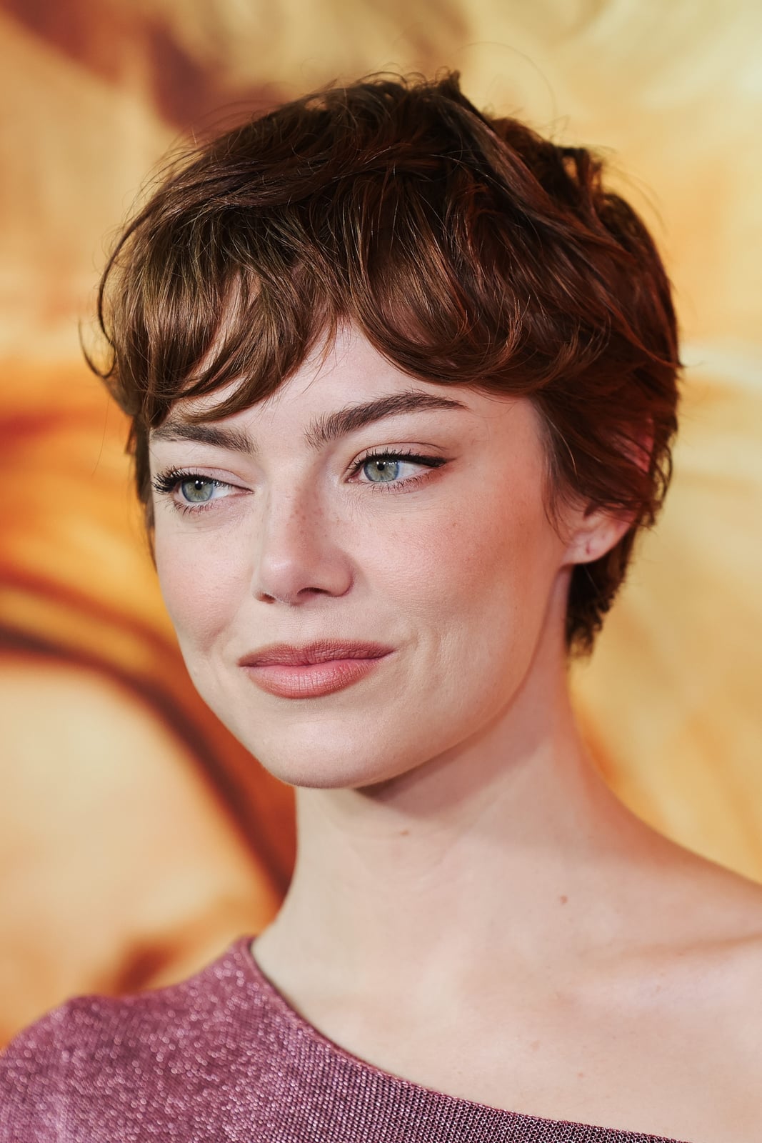 Warm Brown Pixie With Soft Bangs Warm Brown Pixie With Soft Bangs — Classy Pixie Haircuts