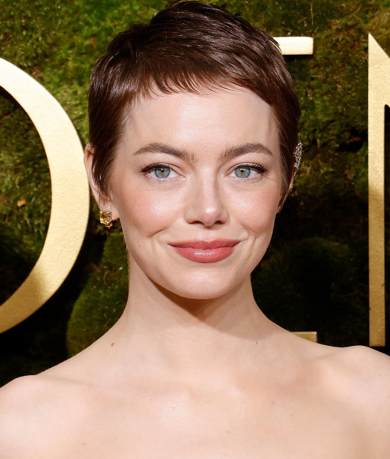 Sleek Brown Pixie With No Bangs Sleek Brown Pixie With No Bangs — Classy Pixie Haircuts
