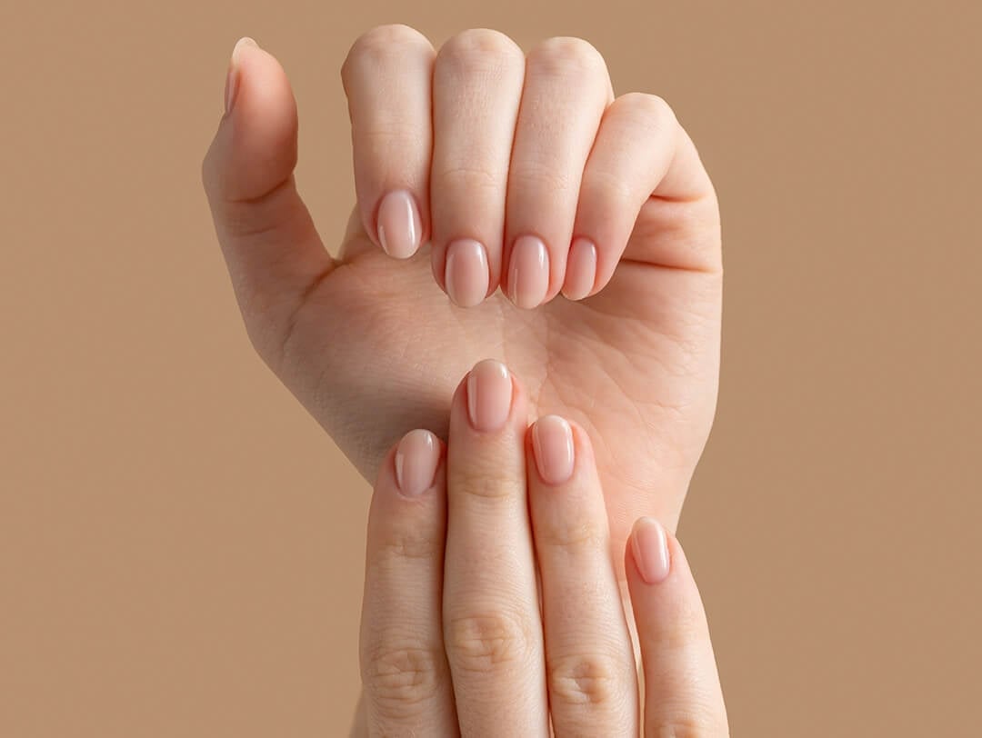Perfectly Sheer Nude Glossy Medium Oval Nails, Office-Safe Version Perfectly Sheer Nude Glossy Medium Oval Nails, Office-Safe Version — Classy Plain Nails