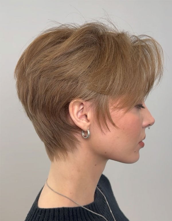 Ash Blonde Shag With Face-Framing Layers — Classy Short Hair Haircuts