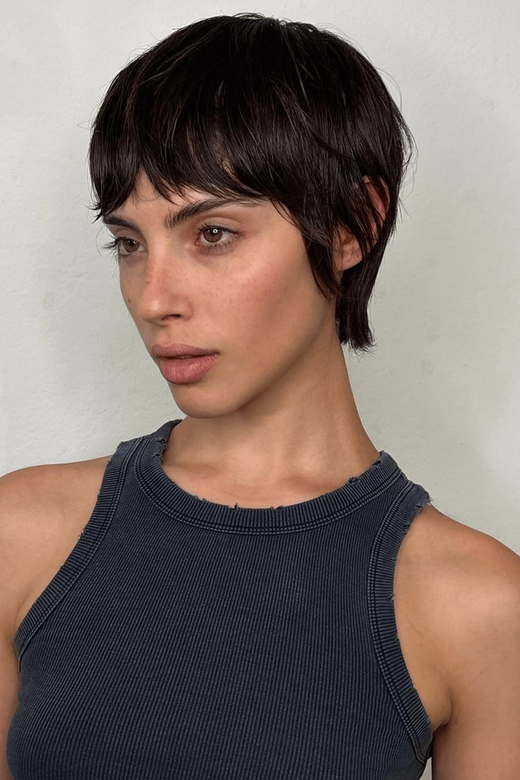Dark Brown Chin Length Shag With Choppy Layers Dark Brown Chin Length Shag With Choppy Layers — Classy Short Shaggy Haircut