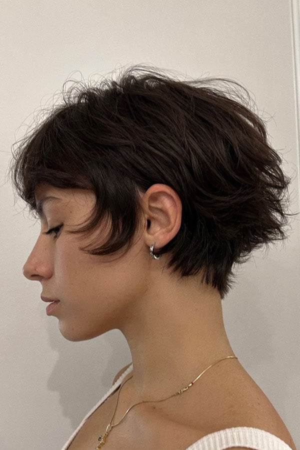Dark Blonde Shag With Side-Swept Bangs Dark Blonde Shag With Side-Swept Bangs — Classy Short Shaggy Haircut