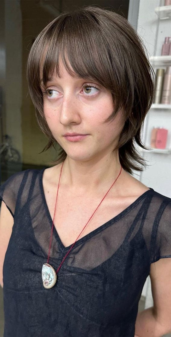 Collarbone Medium Brown Wolf Cut With Wispy Bangs Collarbone Medium Brown Wolf Cut With Wispy Bangs — Classy Short Wolf Cut
