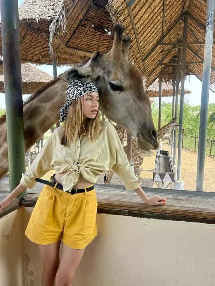 Yellow Linen Shirt and Pleated Shorts Yellow Linen Shirt and Pleated Shorts — Classy Zoo Outfits