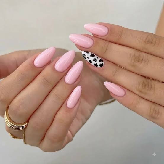 Medium Almond Cow Print Accent Nails Medium Almond Cow Print Accent Nails — Cute Classy Almond Nails