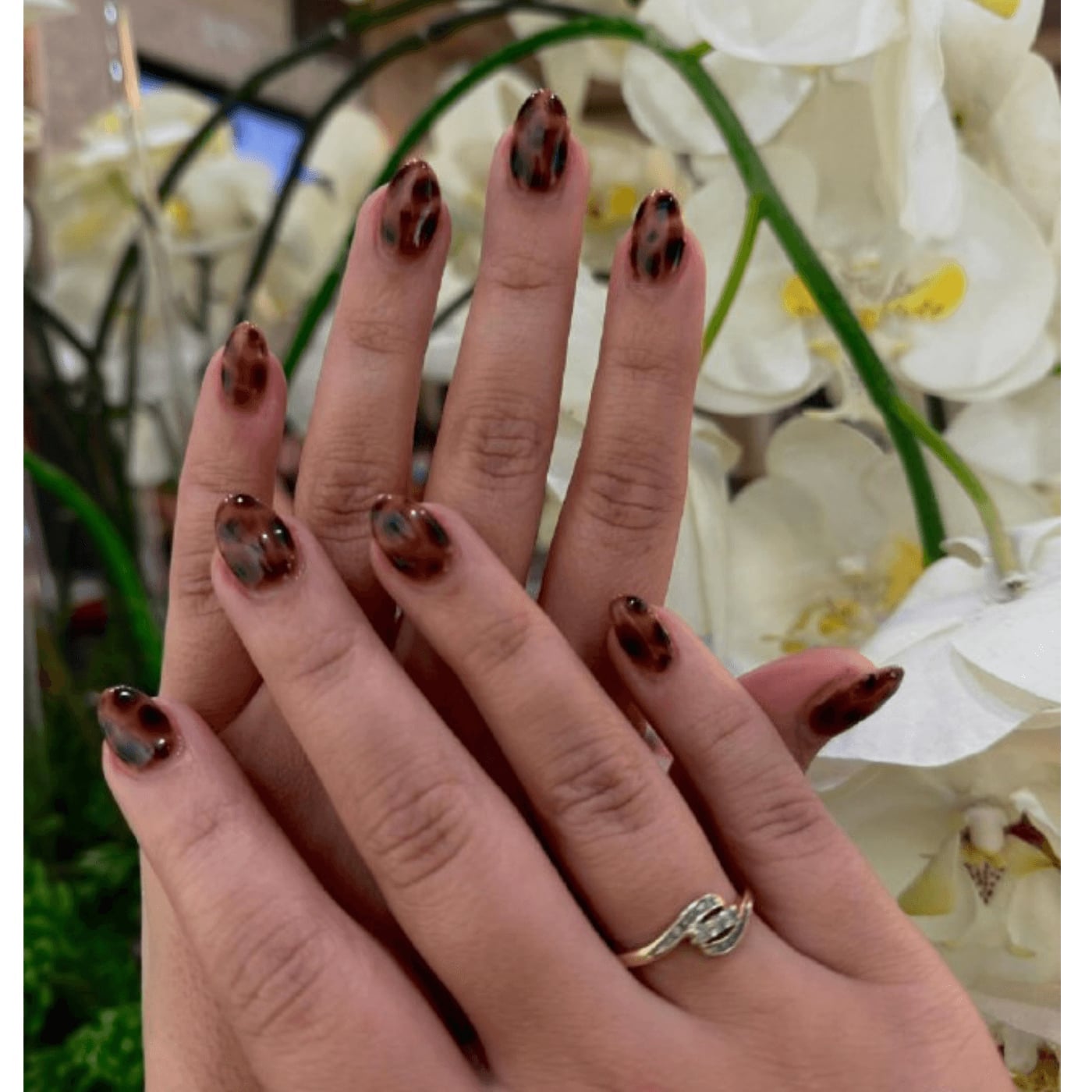 Medium Almond Full Tortoiseshell Print Medium Almond Full Tortoiseshell Print — Cute Classy Almond Nails