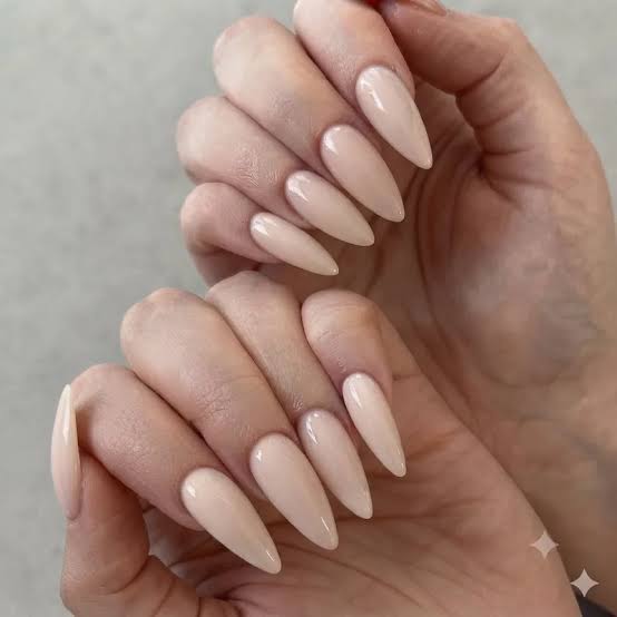 Long Stiletto Sheer Nude With Fine Line Art — Cute Elegant Nails