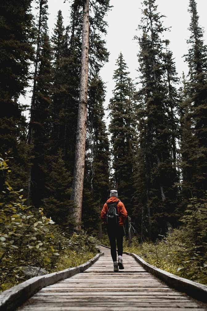 Bright Orange Hooded Jacket With Dark Pants Bright Orange Hooded Jacket With Dark Pants — Cute Hiking Outfit Inspo