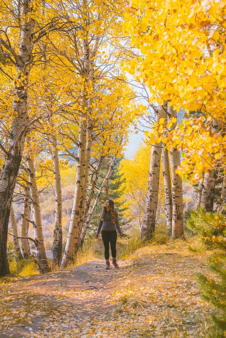 Teal Fleece Jacket With Purple Leggings Teal Fleece Jacket With Purple Leggings — Cute Hiking Outfit Inspo