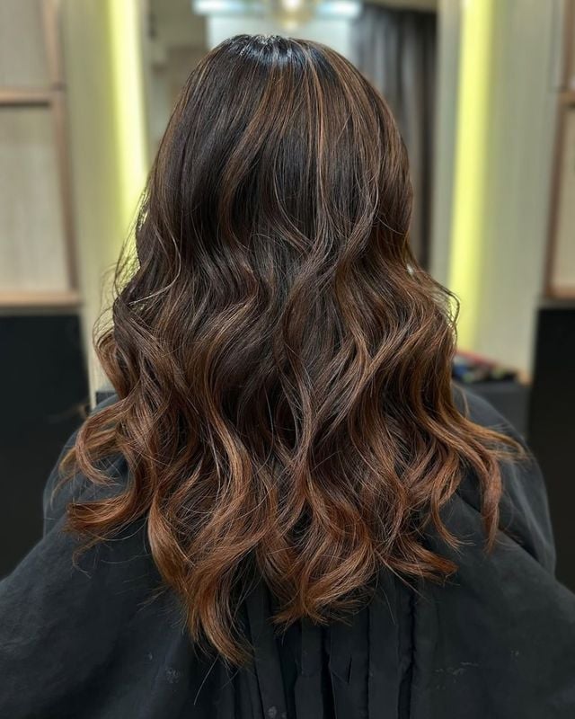 Mid-Back Dark Brown With Caramel Highlights — Dye Hair Inspiration