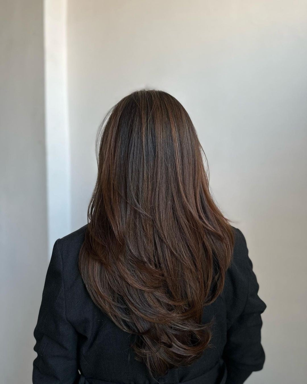 Long Dark Brown With Subtle Highlights — Dye Hair Inspiration