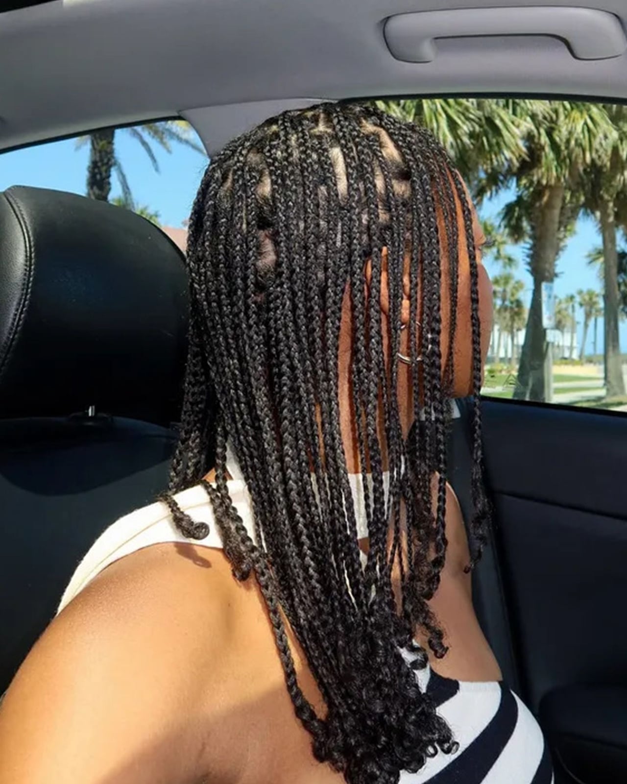 Mid-Back Coily Box Braids, Black — Easy Braided Hairstyles Natural Hair