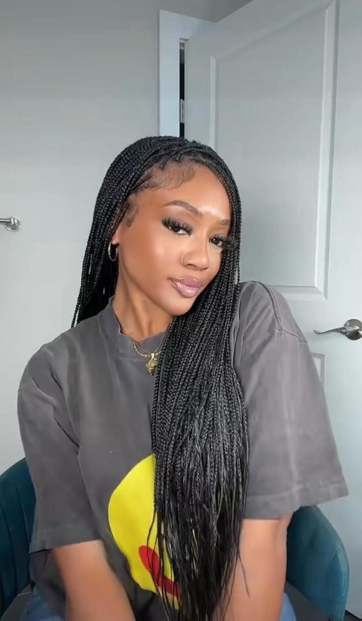Mid-Back Micro Braids — Easy Braided Hairstyles Natural Hair