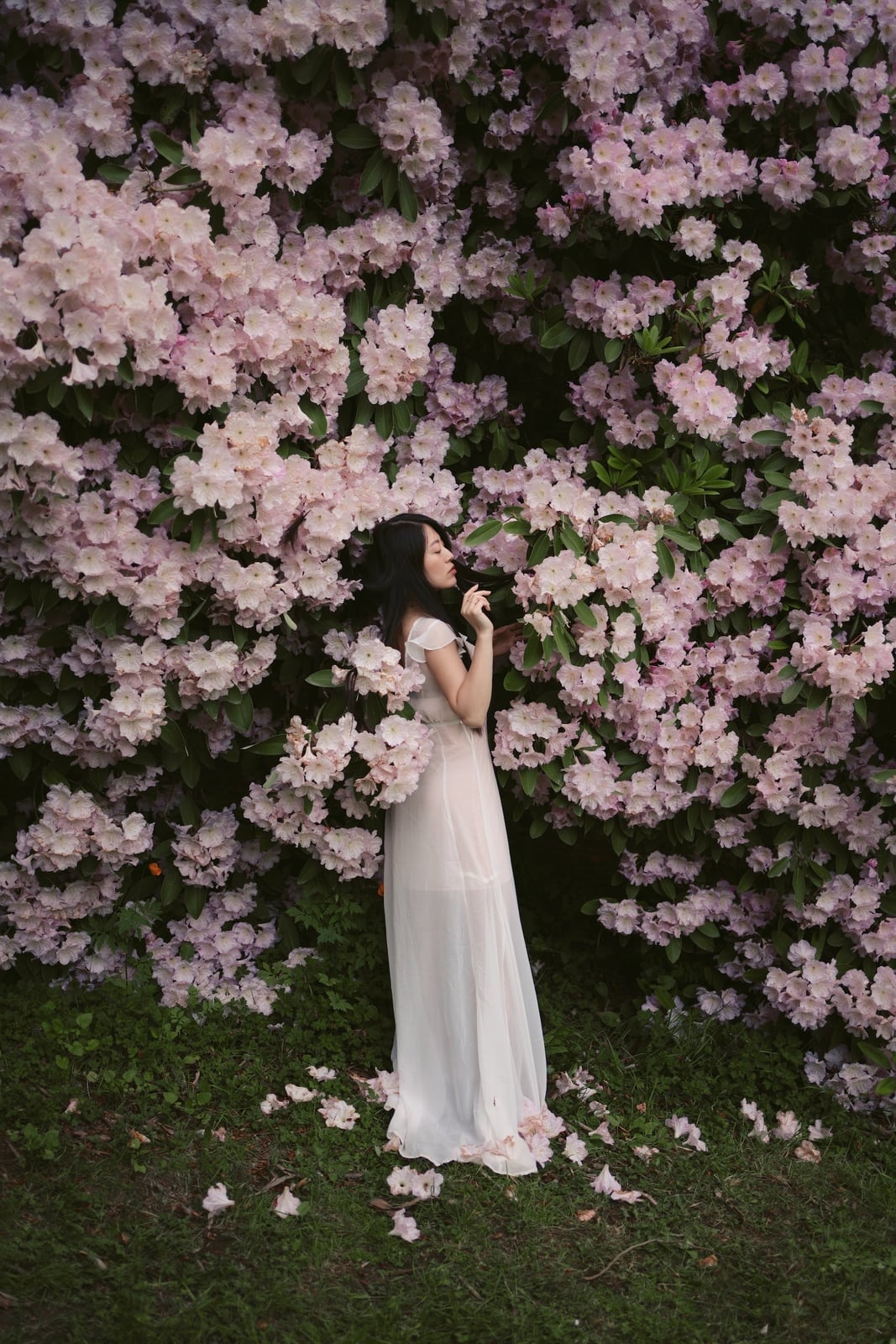 Pale Pink Sheer Chiffon Ethereal Maxi Dress Pale Pink Sheer Chiffon Ethereal Maxi Dress — Ethereal Dress Ideas