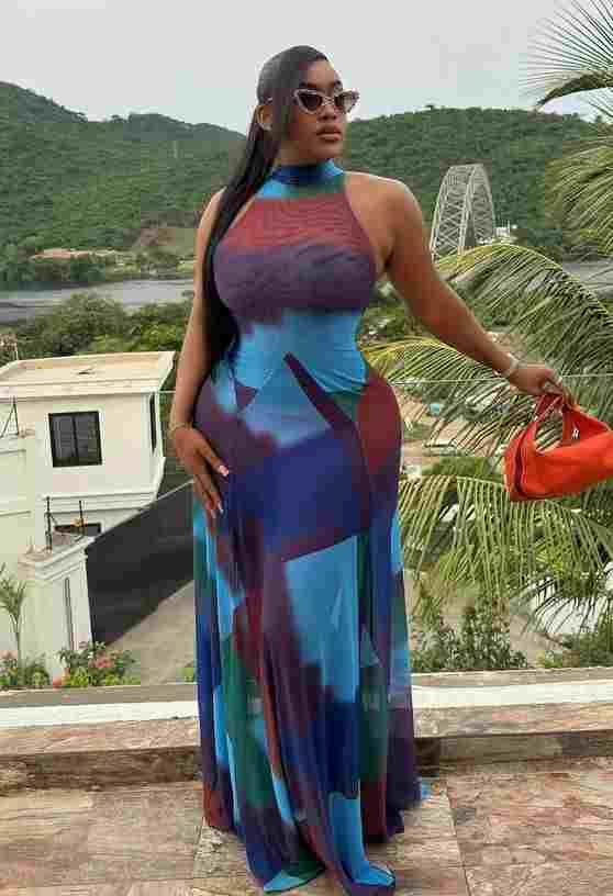 Fitted Geometric Print Mesh Maxi Dress Fitted Geometric Print Mesh Maxi Dress — Mesh Dress Ideas
