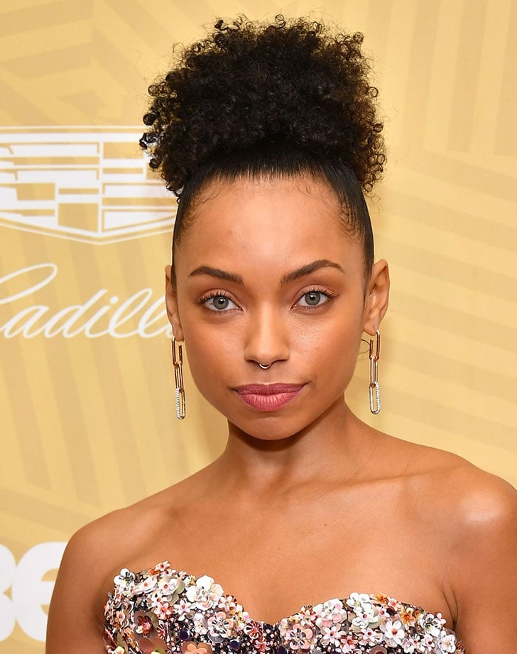 Dark Brown Blonde Highlighted Afro Puff Dark Brown Blonde Highlighted Afro Puff — Natural Bun Ideas