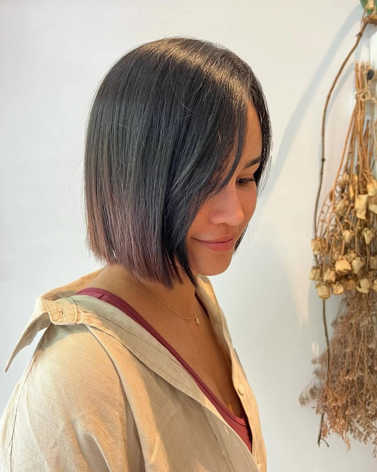 Fine Dark Bob Sleek Side View Fine Dark Bob Sleek Side View — Simple Blunt Bob