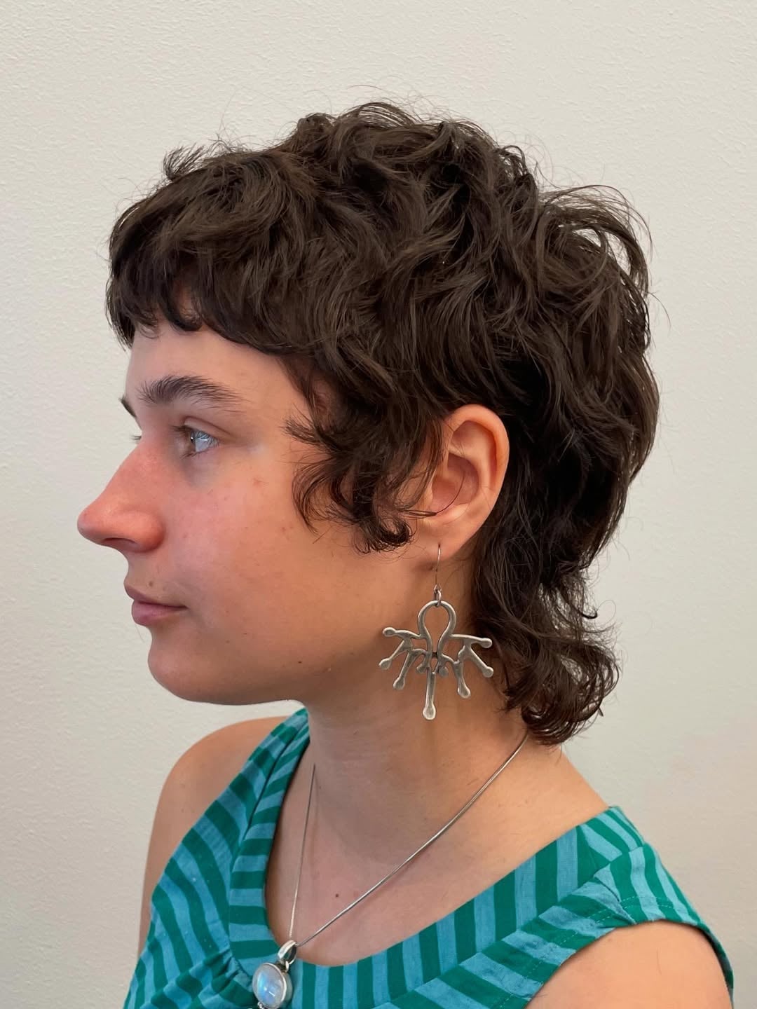 Dark Brown Pixie Mullet With Curls Dark Brown Pixie Mullet With Curls — Simple Mullet Hairstyles