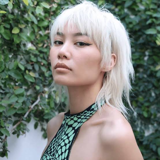Platinum Blonde Mullet With Root Shadow Platinum Blonde Mullet With Root Shadow — Simple Mullet Hairstyles